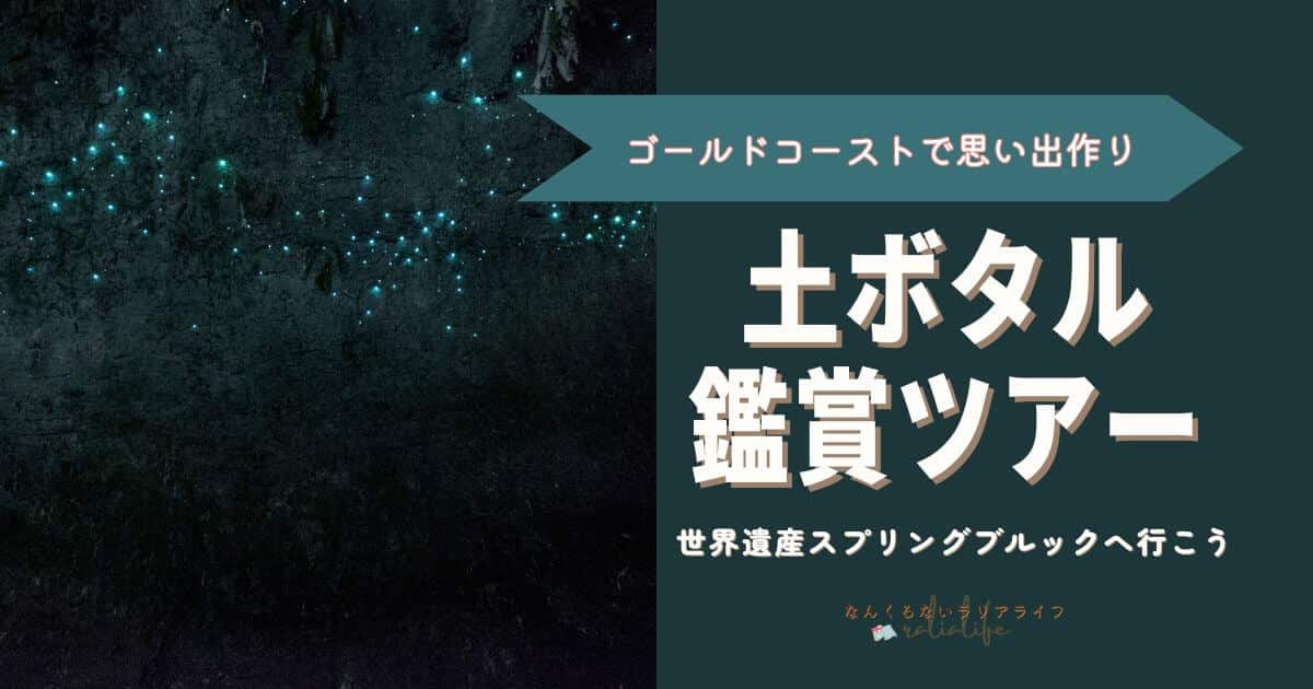 土ボタルツアー、スプリングブルック、ナチュラルブリッジ、ゴールドコースト、観光、おすすめ