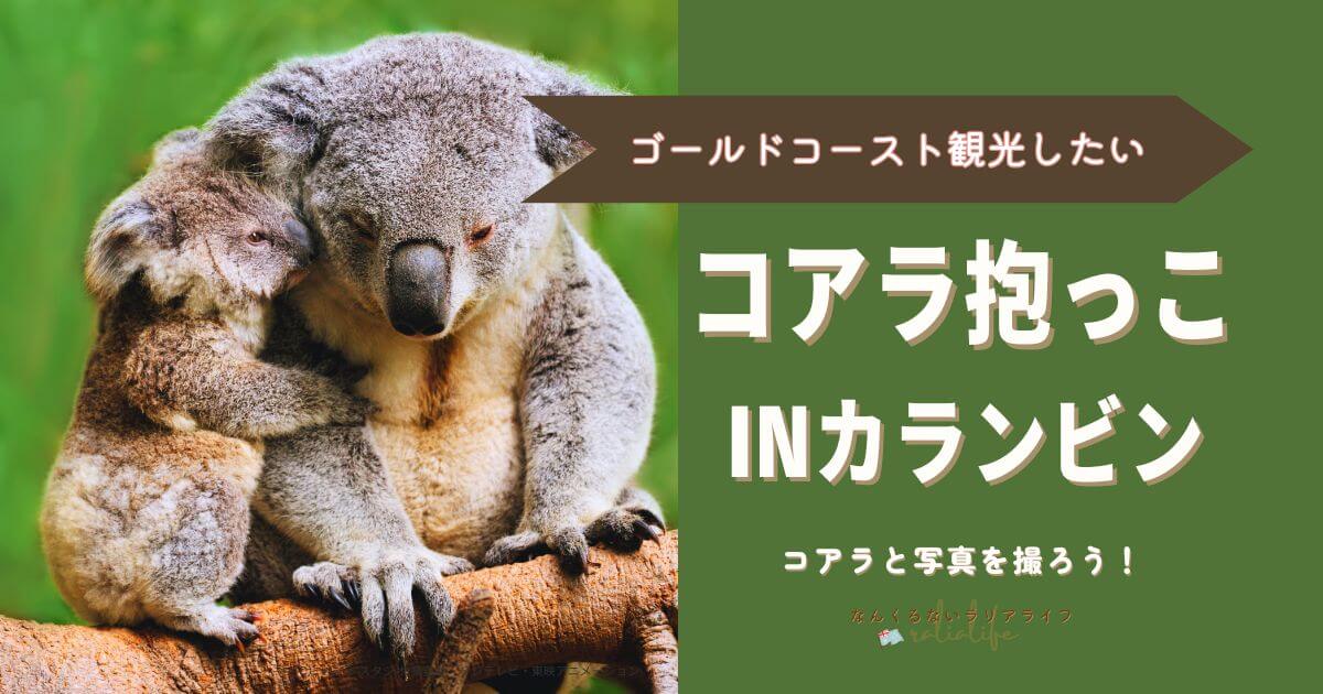 コアラ抱っこ, カランビン, サンクチュアリ, Currumbin Wildlife Sanctuary, agoda, ゴールドコースト, 観光, コアラフォト, チケット予約方法